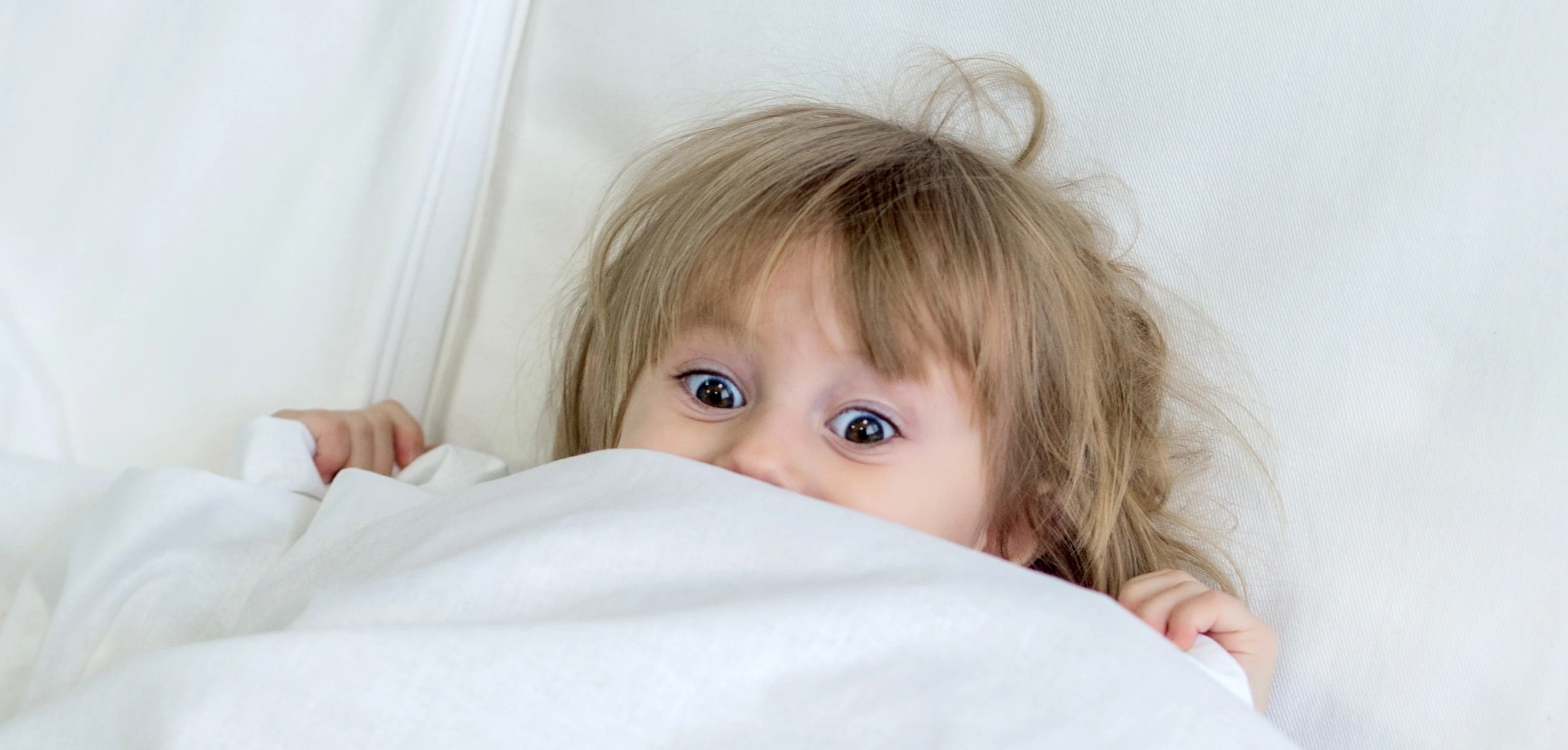 Easy Sleep Lab Background desktop